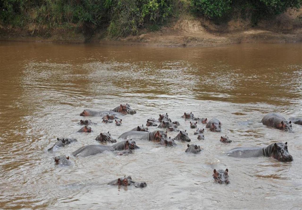 Mara River Lodge Aitong Esterno foto